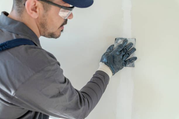 Mold Odor Removal Services in Miamisburg, OH