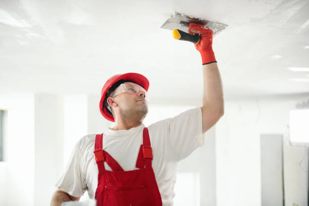 Best Forensic Mold Investigation  in Miamisburg, OH