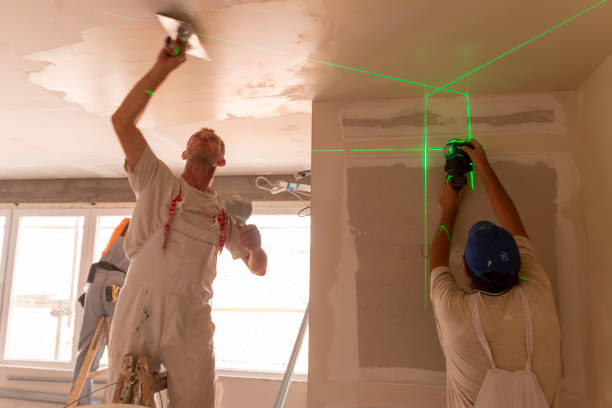 Best Mold Remediation for Rental Properties  in Miamisburg, OH