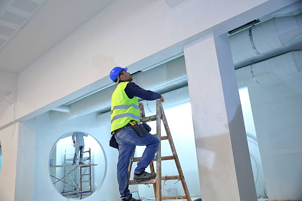 Best Black Mold Removal  in Miamisburg, OH
